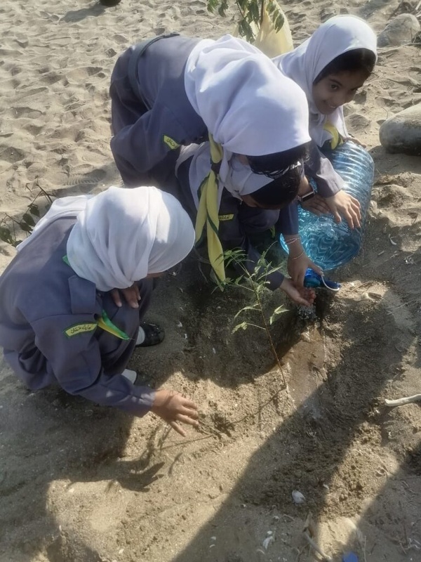 مجلس أولياء أمور مدرسة الجواهر ينفذ حملة تشجير الشاطئ