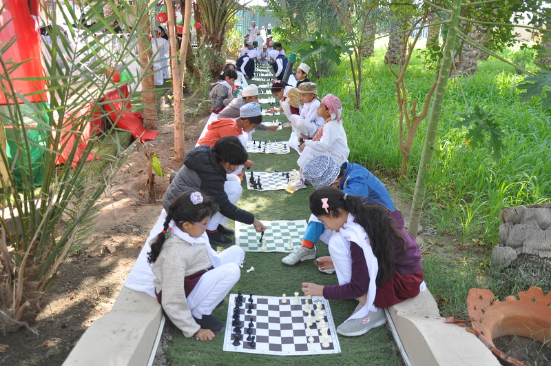 تنظيم مهرجان للشطرنج للطلبة بمحافظة الظاهرة 