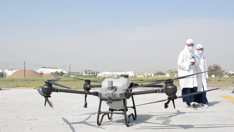 مبيد طبيعي من أوراق شجرة الياس يحصل على المركز الأول على مستوى الدول العربية والإسلامية