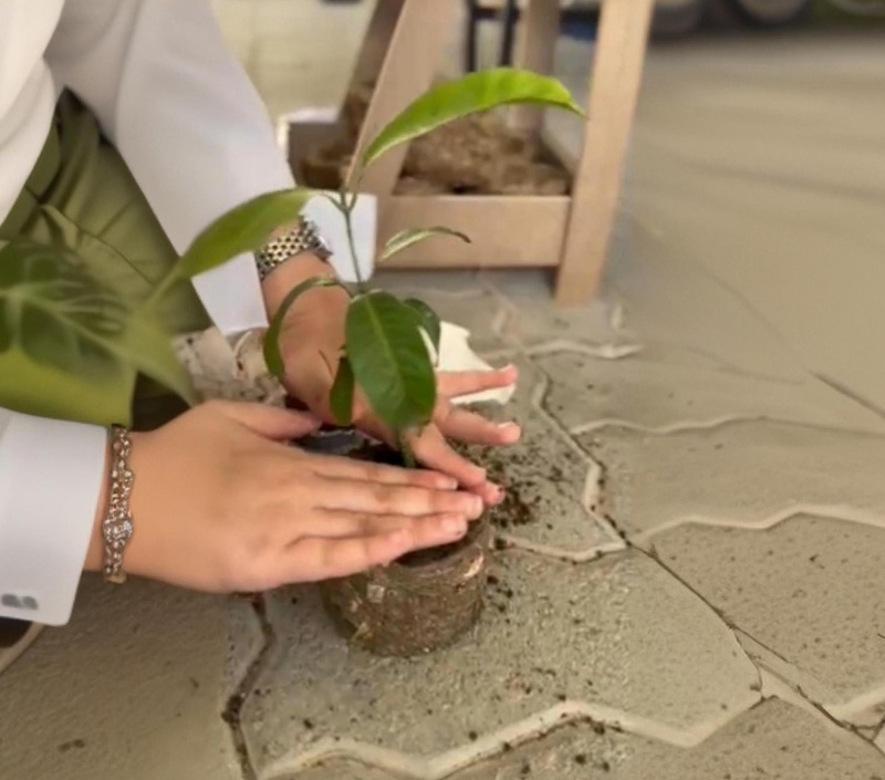 7 مدارس تطبق مشاريع المدارس الخضراء بتعليمية شمال الباطنة 