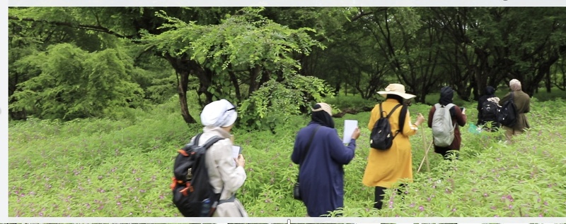 تجربة الهايك في  عين اثوم بمحافظة ظفار