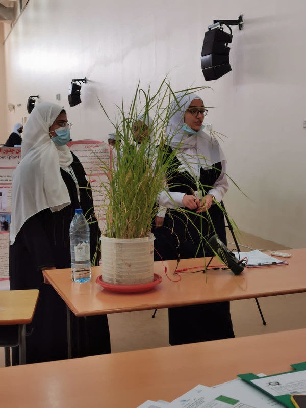 تقييم الابتكارات العلمية الطلابية ببرنامج التنمية المعرفية و برنامج GLOBE ???? البيئي على مستوى مدارس محافظة ظفار