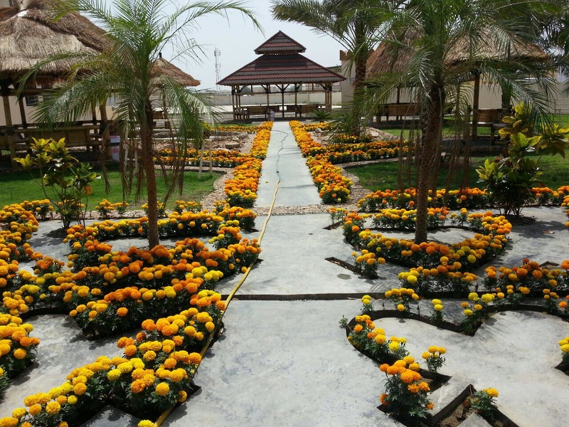 تقييم مشروع بستنة ام سليم الخضراء ضمن جائزة السلطان قابوس للتنمية المستدامة